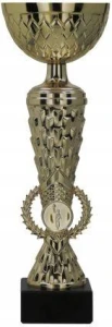 Puchar Metalowy Złoty 25,5cm- Trofeum na Turniej, Zawody, Galę + tabliczka
