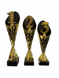 PUCHARY Zestaw 3 Pucharów z opisem 1 2 3 Miejsce na Zawody 44/41/38 cm