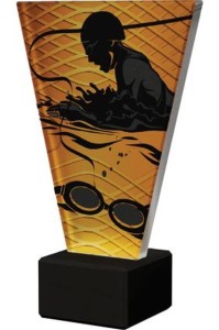 Trofeum szklane Pływanie  VL1-A/SWI/BK 22,5cm z grawerką