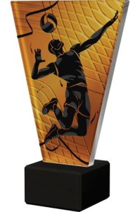 Trofeum szklane Siatkówka VL1-A/VOL/BK 22,5cm z grawerką