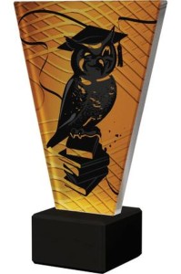 Trofeum szklane Szkolnictwo  VL1-C/SCH/BK 17,5cm z opisem