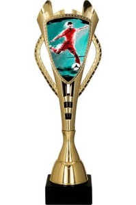 Puchar plastikowy złoty - piłkarz 7243/SOC1-B 41,5cm z opisem