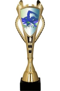 Puchar plastikowy złoty - pływanie 7243/SWI-F 30cm z opisem
