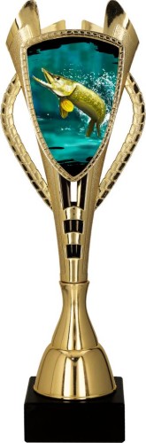 7243_PIK.jpg