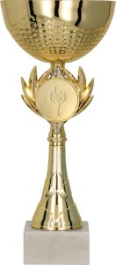 Puchar metalowy złoty  8342D 25cm z grawerem