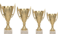 Projekt bez tytułu (4).png