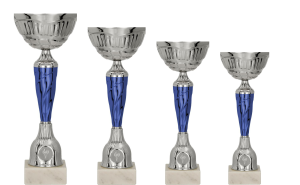 Komplet 4 pucharów 1-4 miejsce zestaw 34, 32, 29 i 27cm + opis