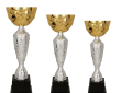 Projekt bez tytułu (1).png