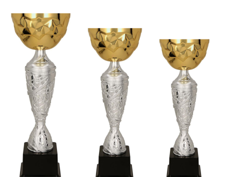 Projekt bez tytułu (1).png