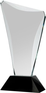 Trofeum szklane C068 30cm + etui + grawer lub nadruk w kolorze