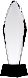 Trofeum szklane C043 31cm + etui + grawer