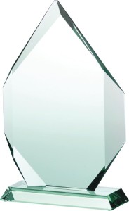 Trofeum szklane G018 27cm nadruk w kolorze lub grawer + etui