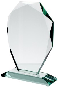 Trofeum szklane G007 24cm z etui + nadruk w kolorze lub grawer