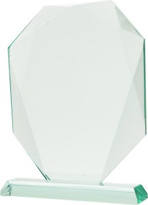 Trofeum szklane G042 24cm z etui + nadruk w kolorze lub grawer