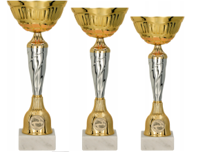 Zestaw pucharów wędkarstwo z wizerunkiem ryby 32,29 i 27 cm + opis 9256 BCD