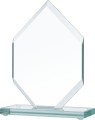 GS110_1.jpg