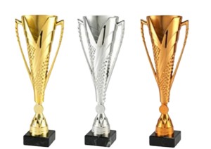 Komplet pucharów I-III miejsce 36cm+ opis + emblemat