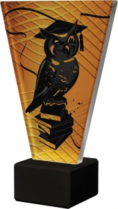 Szklana statuetka SOWA szkolnictwo najlepszy uczeń, szkoła 20cm+opis gratis