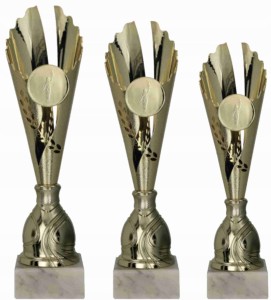 Duże puchary KOMPLET pucharów zestaw trofeów, 35, 34, 33cm+emblemat+opis