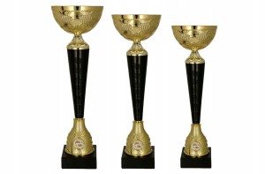 Puchary wędkarskie komplet pucharów z rybami 40, 38, 35 cm tabliczka ryby